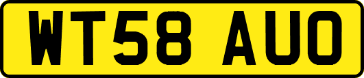 WT58AUO