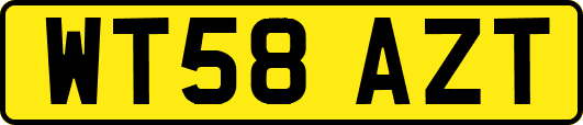 WT58AZT
