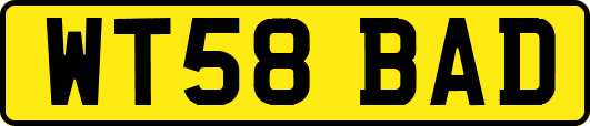 WT58BAD