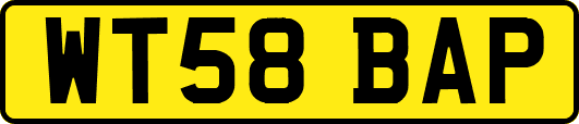WT58BAP