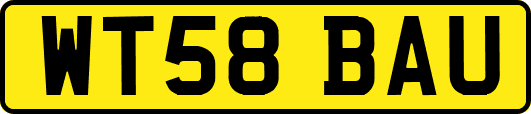 WT58BAU