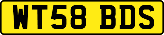 WT58BDS