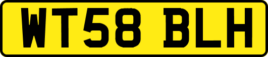 WT58BLH