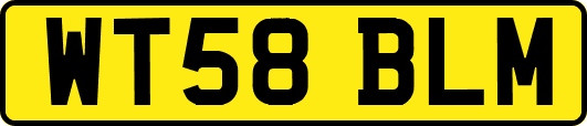WT58BLM