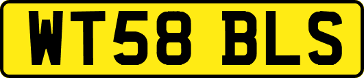 WT58BLS