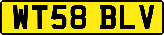 WT58BLV