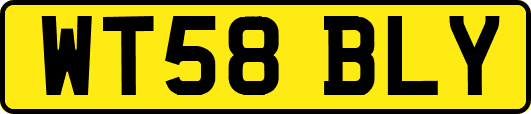 WT58BLY