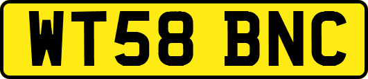 WT58BNC