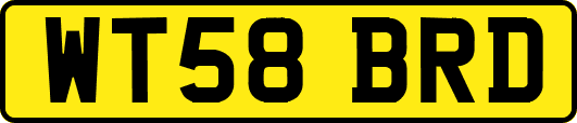 WT58BRD