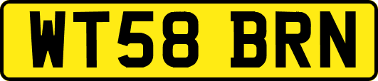 WT58BRN