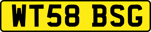 WT58BSG