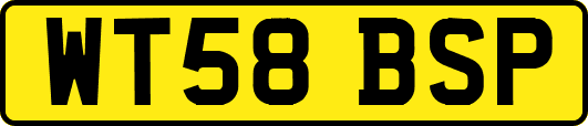 WT58BSP