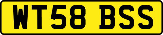 WT58BSS