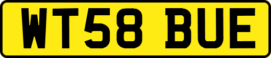 WT58BUE
