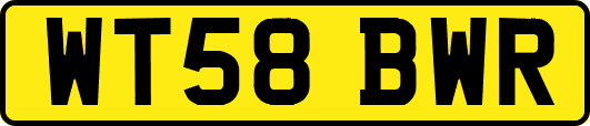 WT58BWR