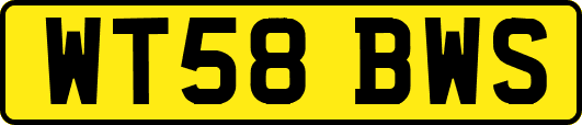 WT58BWS