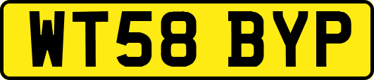 WT58BYP