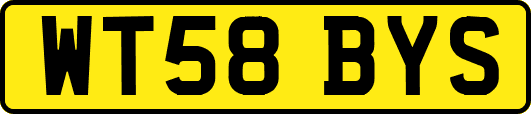WT58BYS