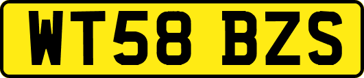 WT58BZS
