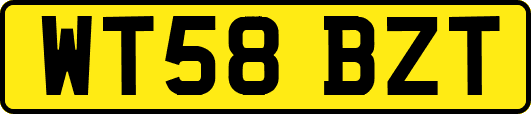 WT58BZT