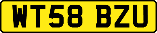 WT58BZU