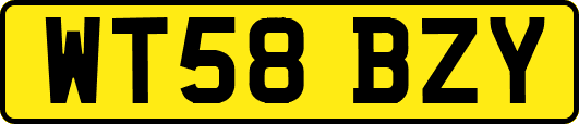 WT58BZY