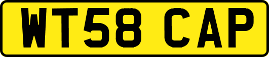 WT58CAP