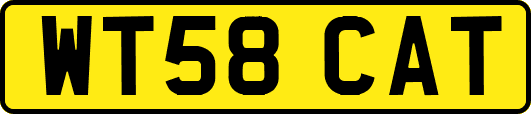 WT58CAT
