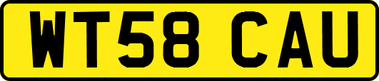 WT58CAU