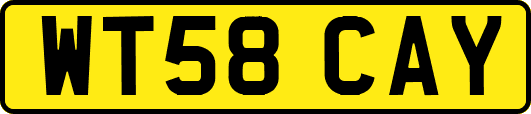 WT58CAY