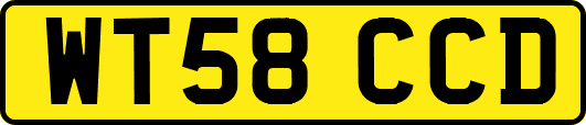 WT58CCD