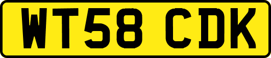 WT58CDK