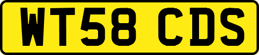WT58CDS