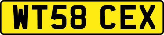 WT58CEX
