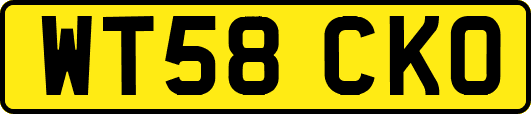 WT58CKO