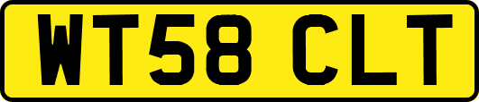 WT58CLT