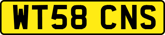 WT58CNS