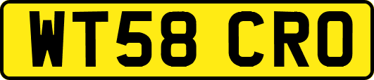 WT58CRO