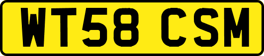 WT58CSM