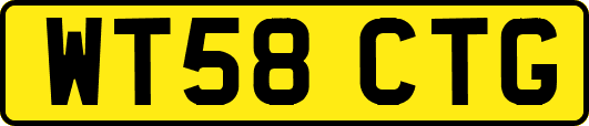 WT58CTG