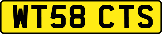 WT58CTS