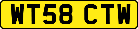 WT58CTW