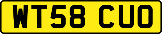 WT58CUO