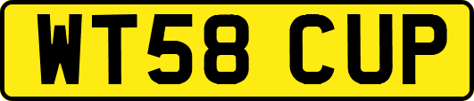 WT58CUP