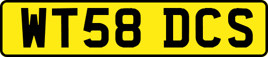 WT58DCS