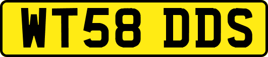 WT58DDS