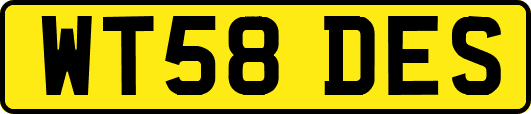 WT58DES
