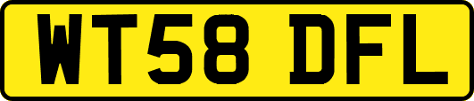 WT58DFL