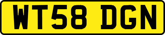 WT58DGN