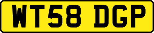 WT58DGP